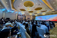 来自《中国收集视听成长研究演讲（2025）》（以