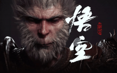 <b>AI就能深度此中</b>